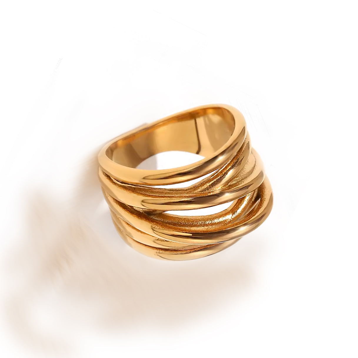 Branch – The Essence of Earth’s Strength Ring Silver and Gold.