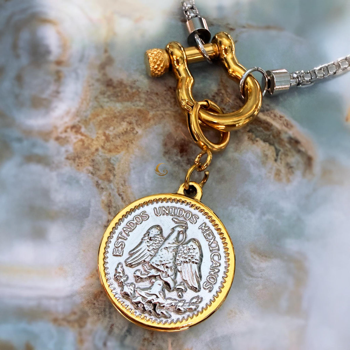 Two-Tone Coin Pendant Necklace with Toggle Clasp